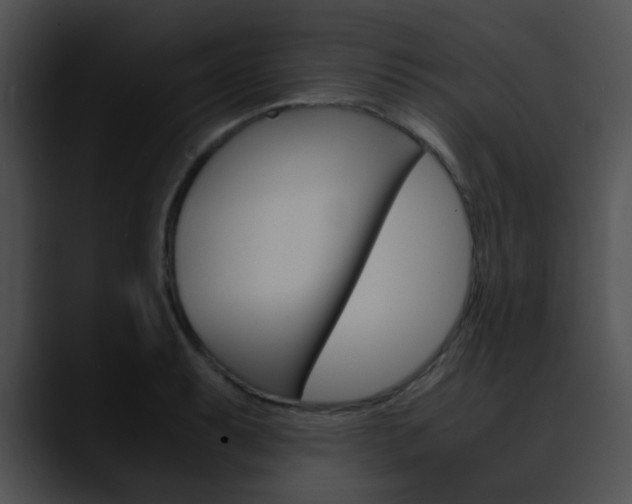 X0000090621087200707171058