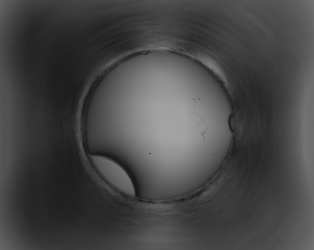 X0000090621088200707171058