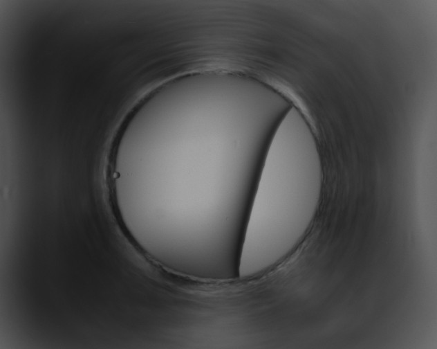 X0000090621091200707171058