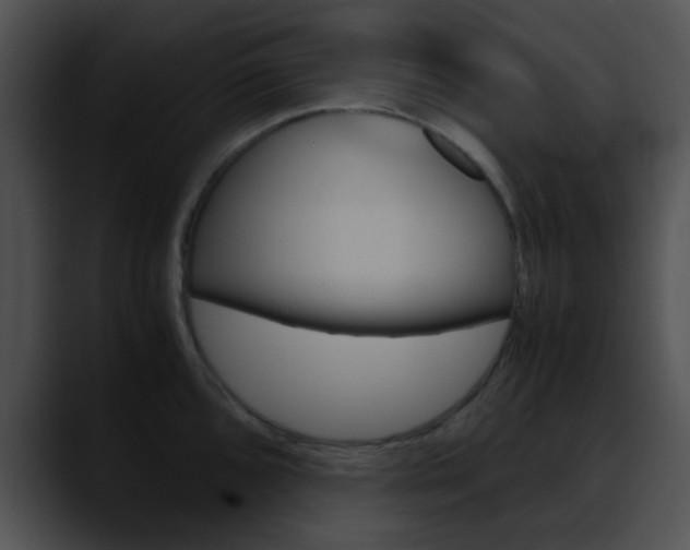 X0000090621096200707171058