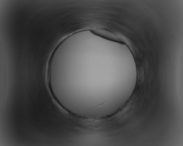 X0000090621103200707171058