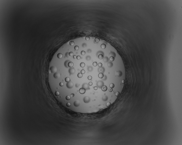 X0000090621105200707171057