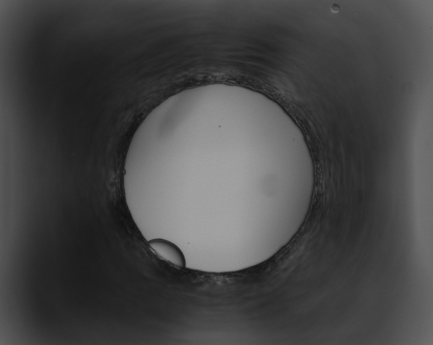 X0000090621109200707171057