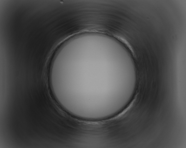 X0000090621114200707171057