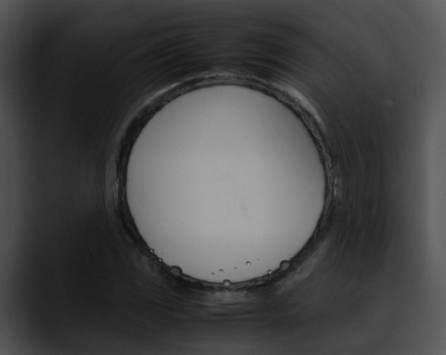 X0000090621117200707171057