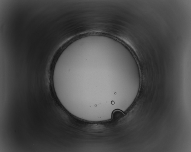 X0000090621119200707171057