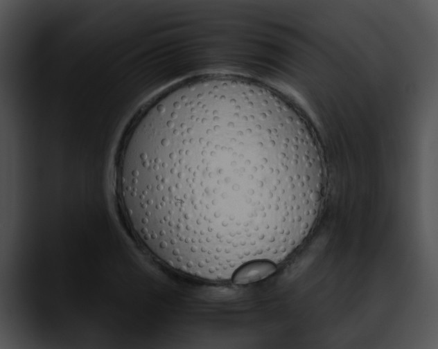 X0000090621125200707171057