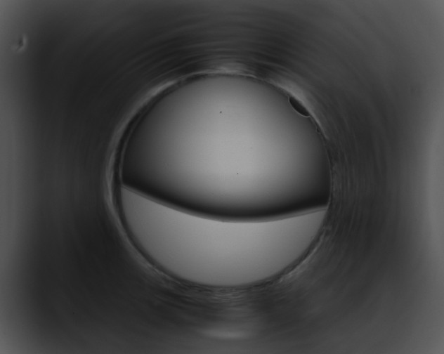 X0000090621139200707171058