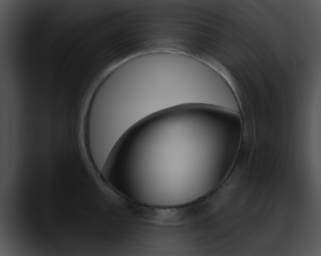 X0000090621144200707171058