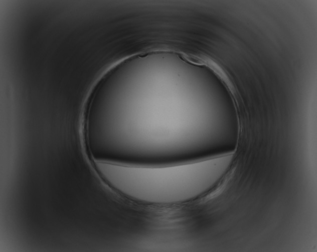 X0000090621149200707171058
