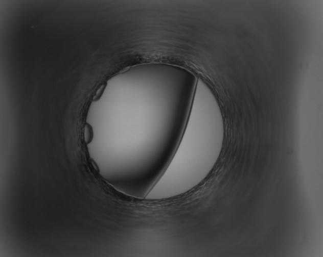 X0000090621153200707171057