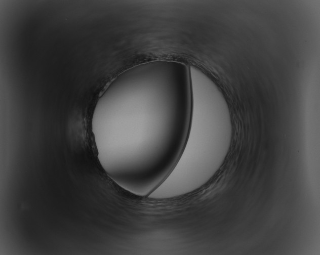 X0000090621156200707171057