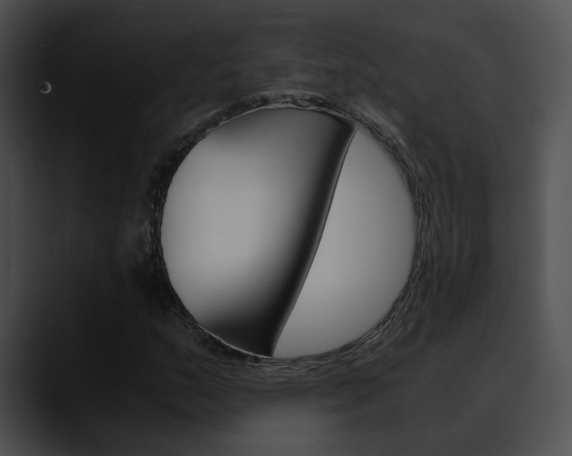 X0000090621159200707171057