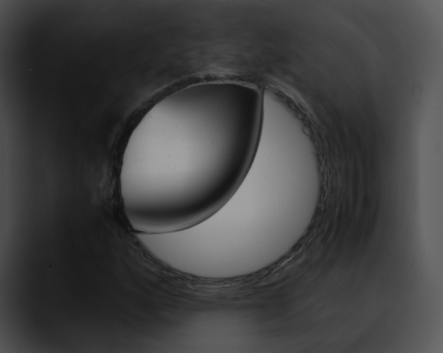 X0000090621160200707171057