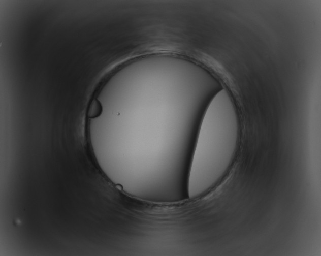 X0000090621174200707171057