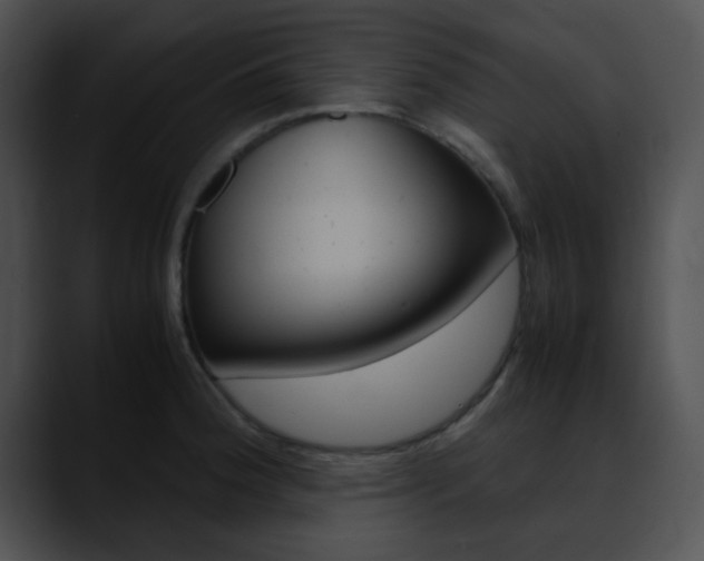 X0000090621188200707171057