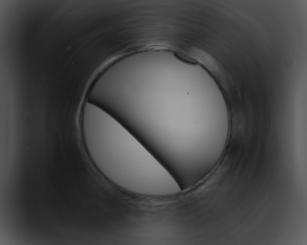 X0000090621190200707171057