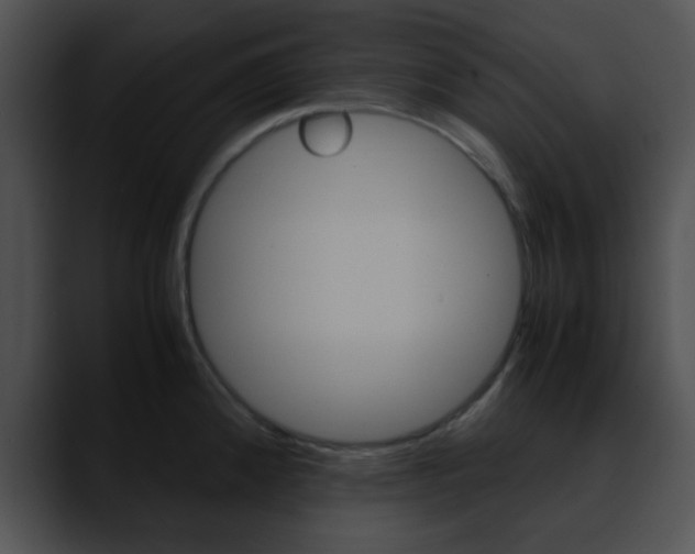 X0000090621192200707171057