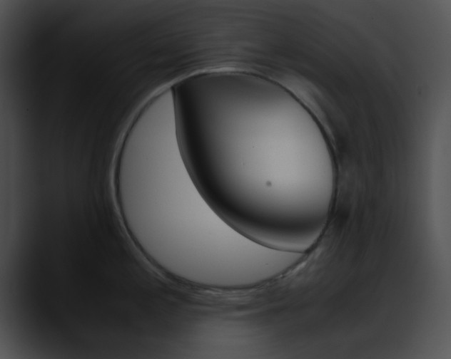X0000090621197200707171057