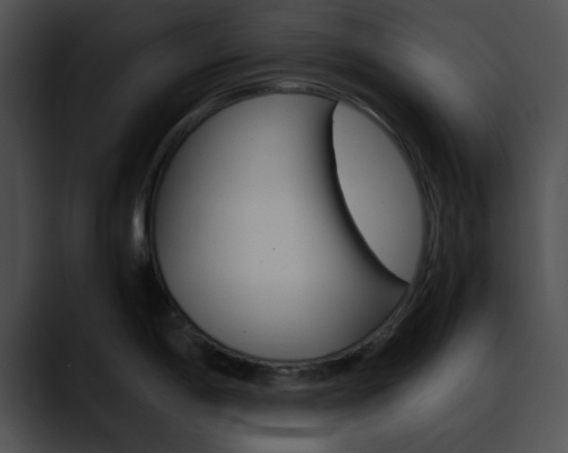 X0000090621198200707171057