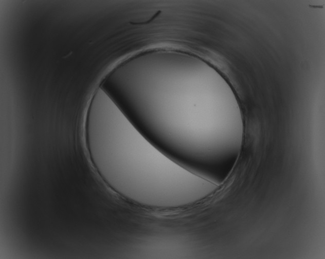 X0000090621199200707171057
