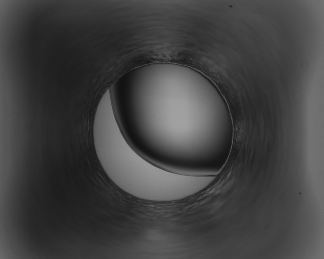 X0000090621202200707171056