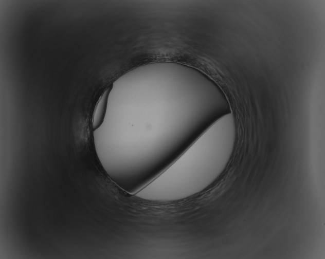 X0000090621204200707171056