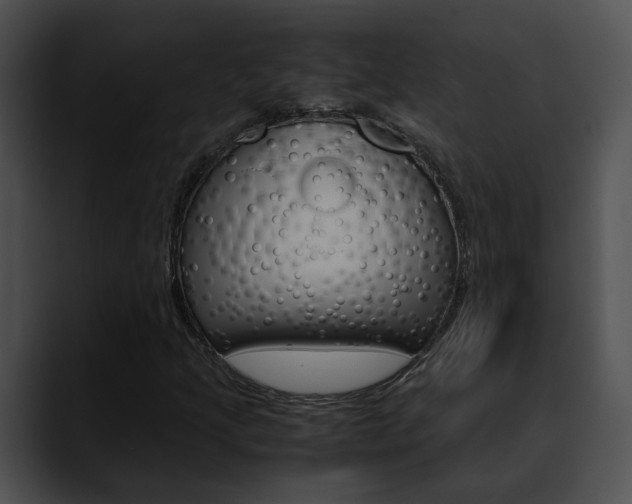 X0000090621205200707171056
