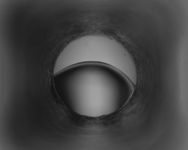 X0000090621206200707171056