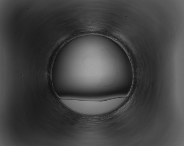 X0000090621210200707171056
