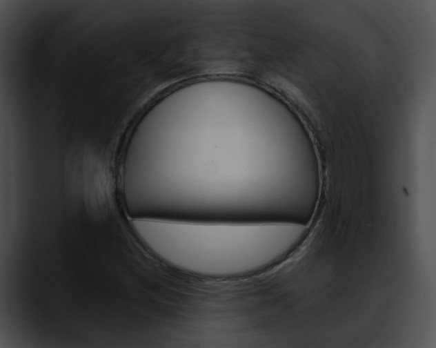 X0000090621212200707171056