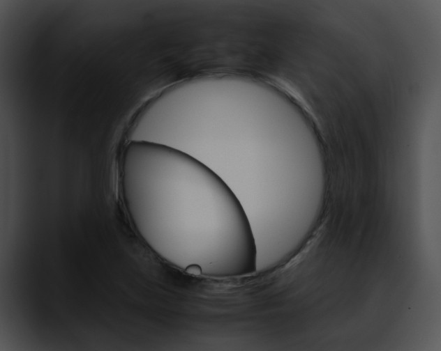 X0000090621219200707171056