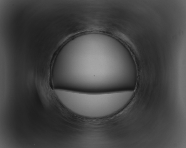 X0000090621220200707171056