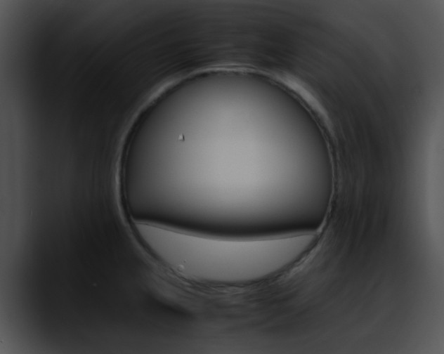 X0000090621237200707171056