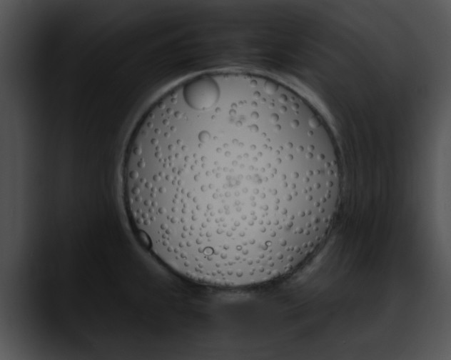X0000090621239200707171056