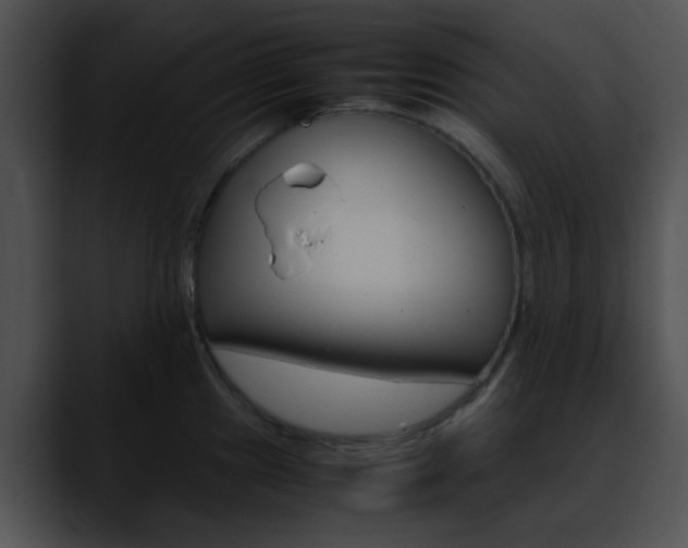 X0000090621241200707171057