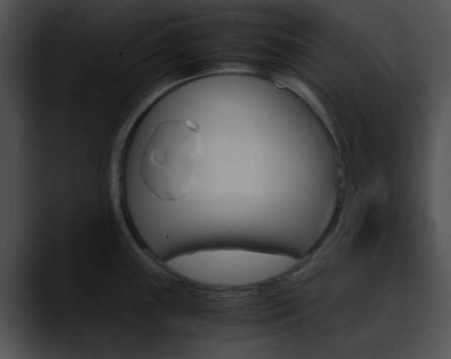 X0000090621243200707171057