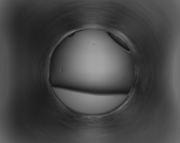 X0000090621244200707171057