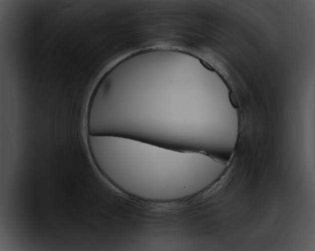 X0000090621247200707171057