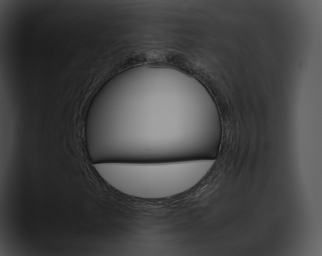 X0000090621249200707171056