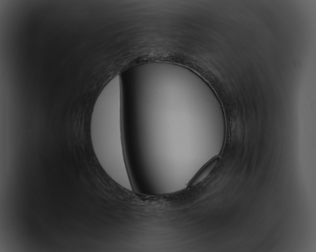 X0000090621250200707171056