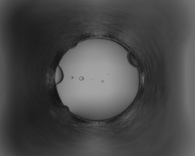 X0000090621251200707171056