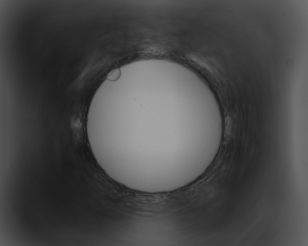 X0000090621254200707171056