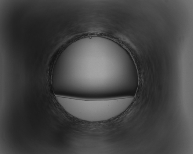 X0000090621256200707171056