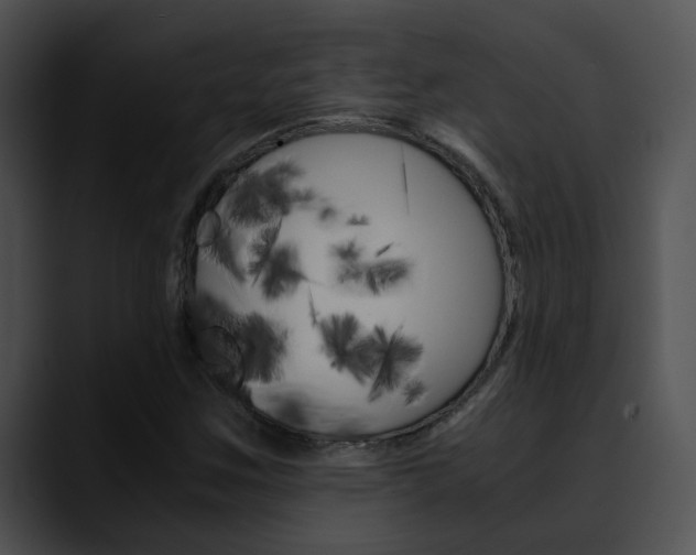 X0000090621259200707171056