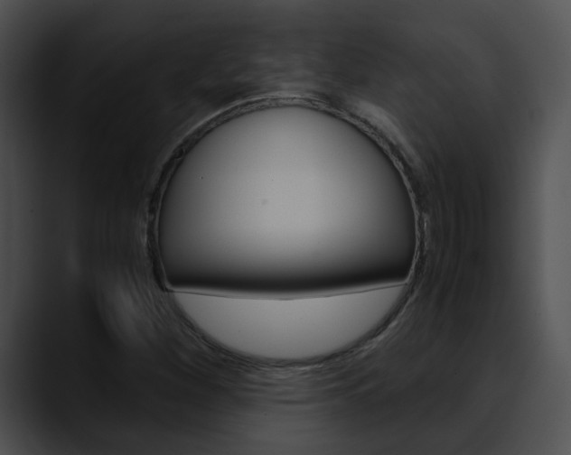 X0000090621260200707171056