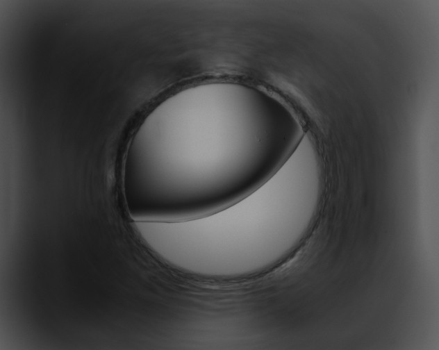 X0000090621261200707171056