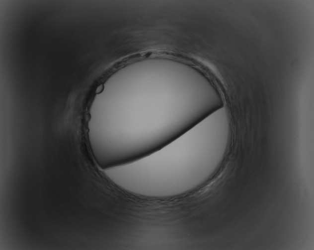 X0000090621263200707171056