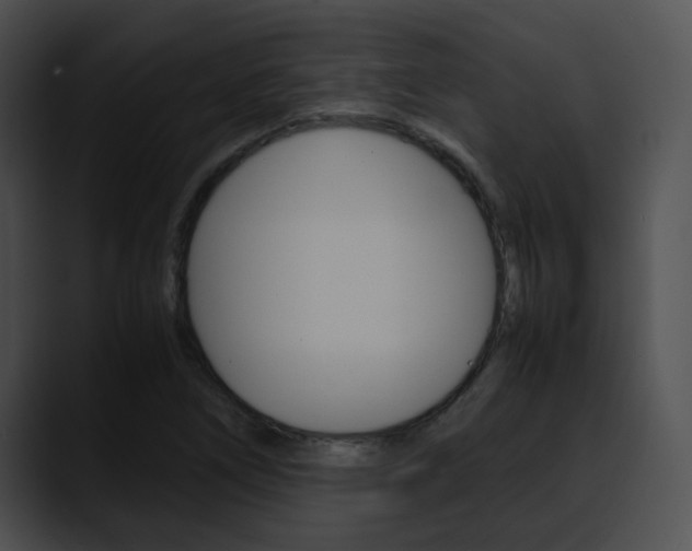 X0000090621266200707171056