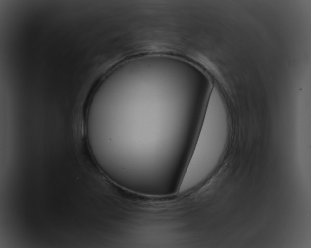 X0000090621269200707171056